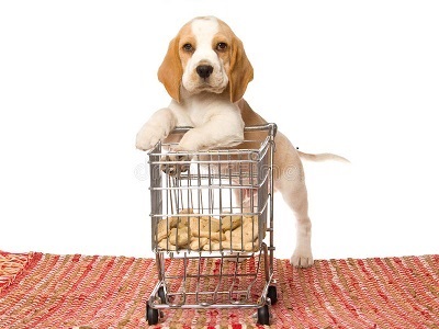 Dog on two legs leaning on a toy size grocery cart with dog treats in it.